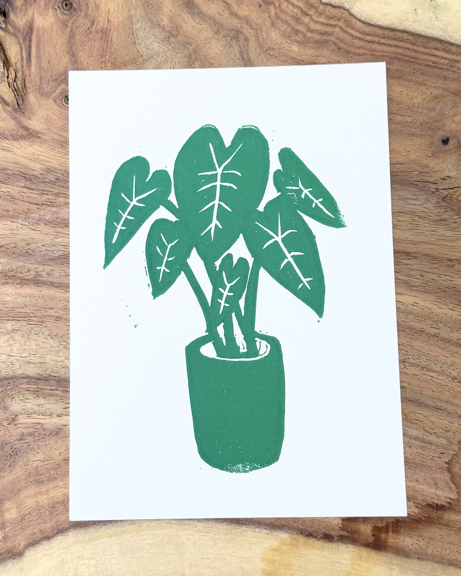 Love Plant Print
