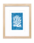 Seaweed Print